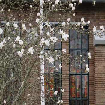 apgen-dh-gebouw-buiten-2020-3-standard.jpg