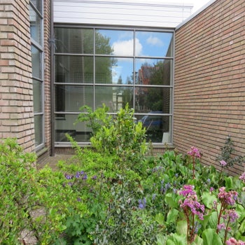 apgen-dh-gebouw-buiten-2020-37-standard.jpg