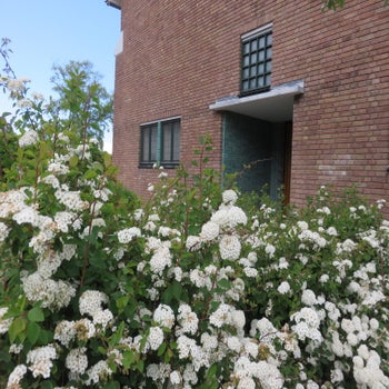 apgen-dh-gebouw-buiten-2020-42-standard.jpg