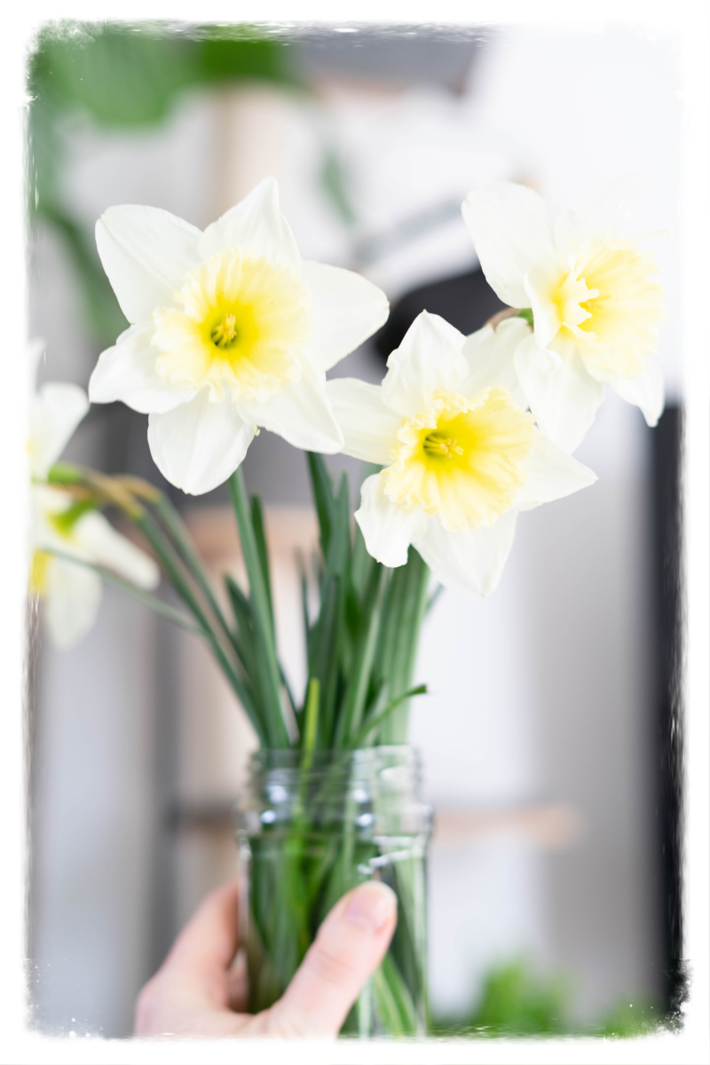 Zwanger, je baby en corona. Doula Sonja Zantinge docent zwangerschapscursus Relaxed Bevallen  Doula in Drenthe Twente Overijssel Friesland Goed voorbereid bevallen - Hypnobirthing - Bevalbad - zwangerschapscursus geboortecoach zwangerschapscoach 