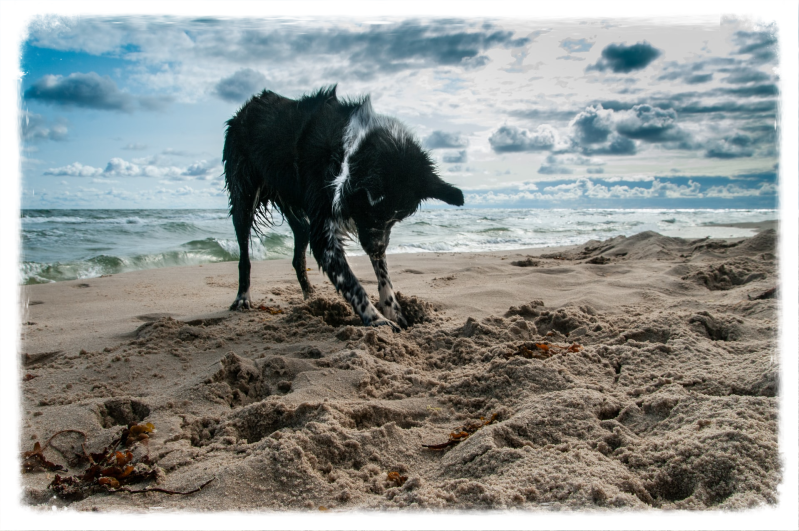 Sonja Zantinge begeleiding bij zwangerschap en geboorte zacht zijn voor jezelf  ik ben genoeg