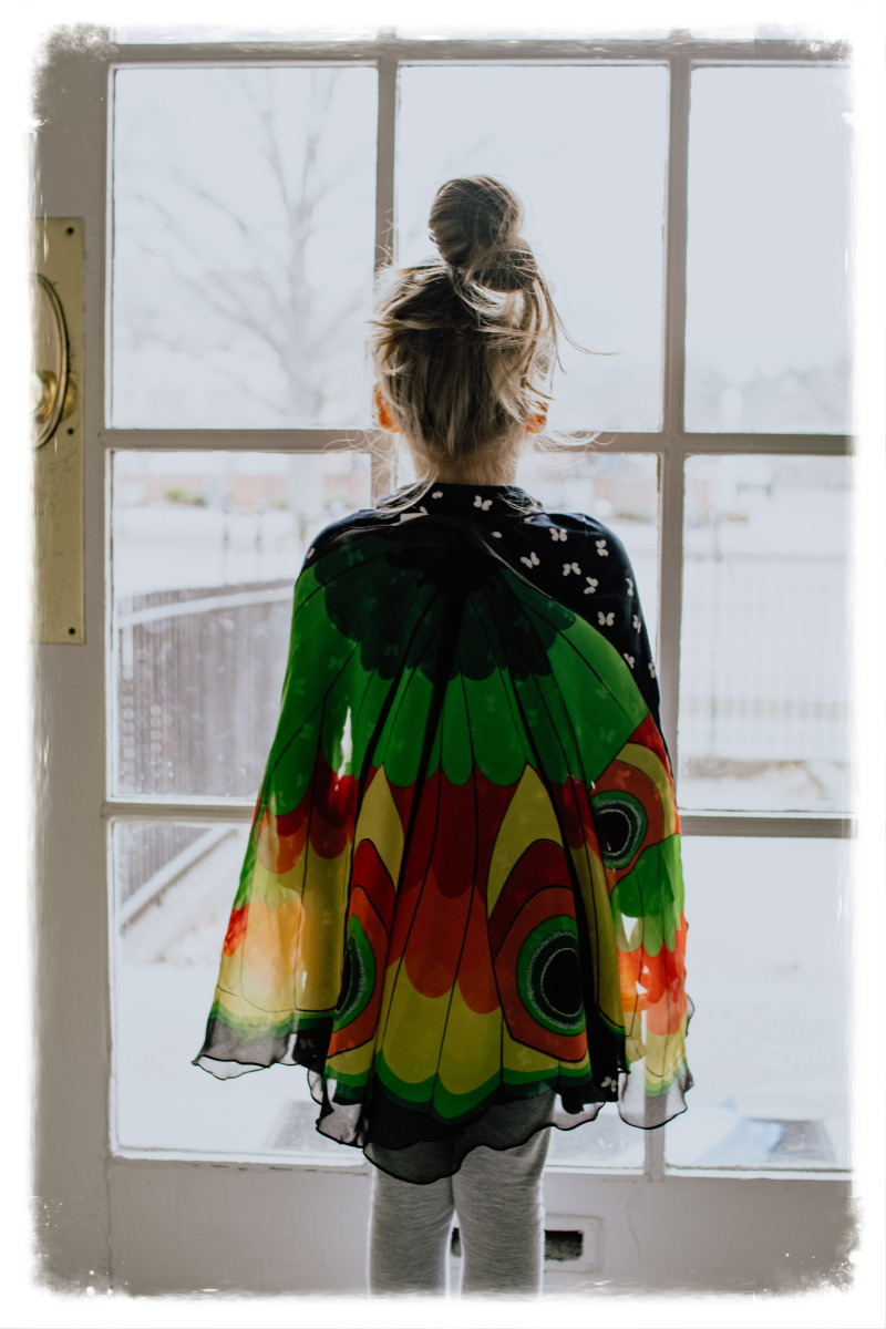 Sonja Zantinge begeleiding bij zwangerschap en geboorte zacht zijn voor jezelf  ik ben genoeg onzeker