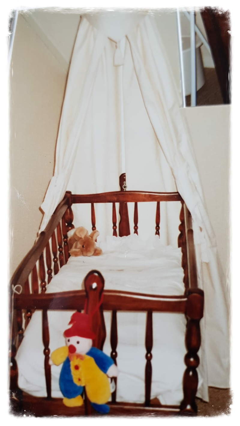 Sonja Zantinge blog over postnatale psychose en post natale depressie kraambedpsychose en daar je kracht van maken