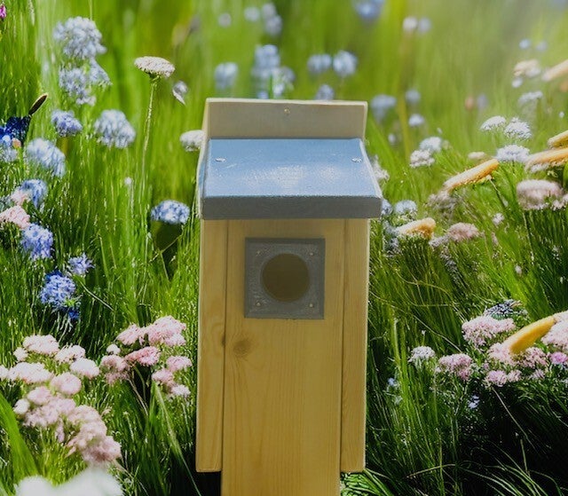 Blue Bird Houses