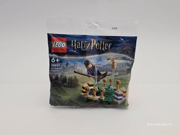 LEGO® Harry Potter™ Polybag - Zwerkbal Training - 30651
