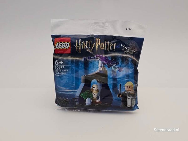 LEGO® Harry Potter™ Polybag - Draco in het Verboden Bos - 30677