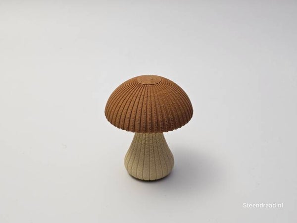 Paddenstoel Klein