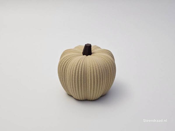 Pompoen Groot