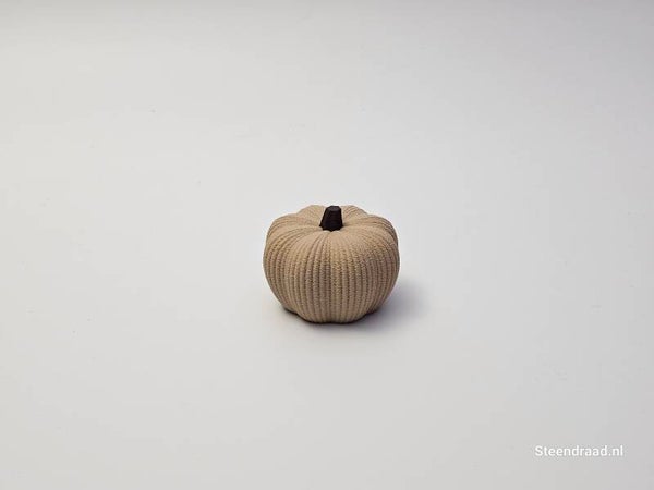 Pompoen Klein