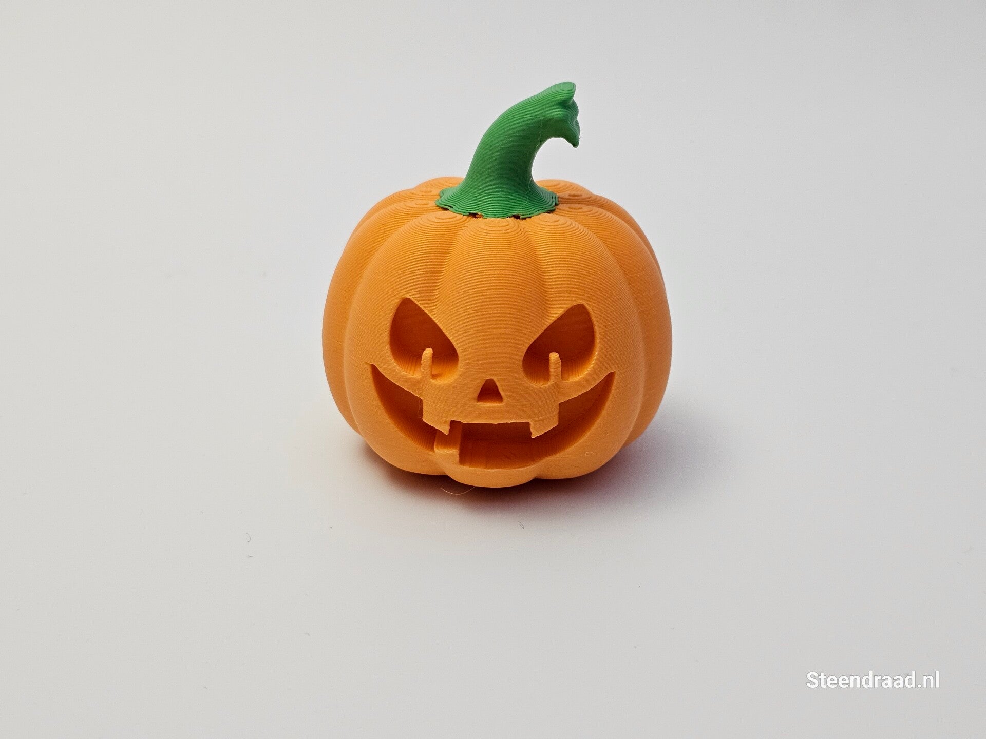 Pompoen Hoofd Type 1