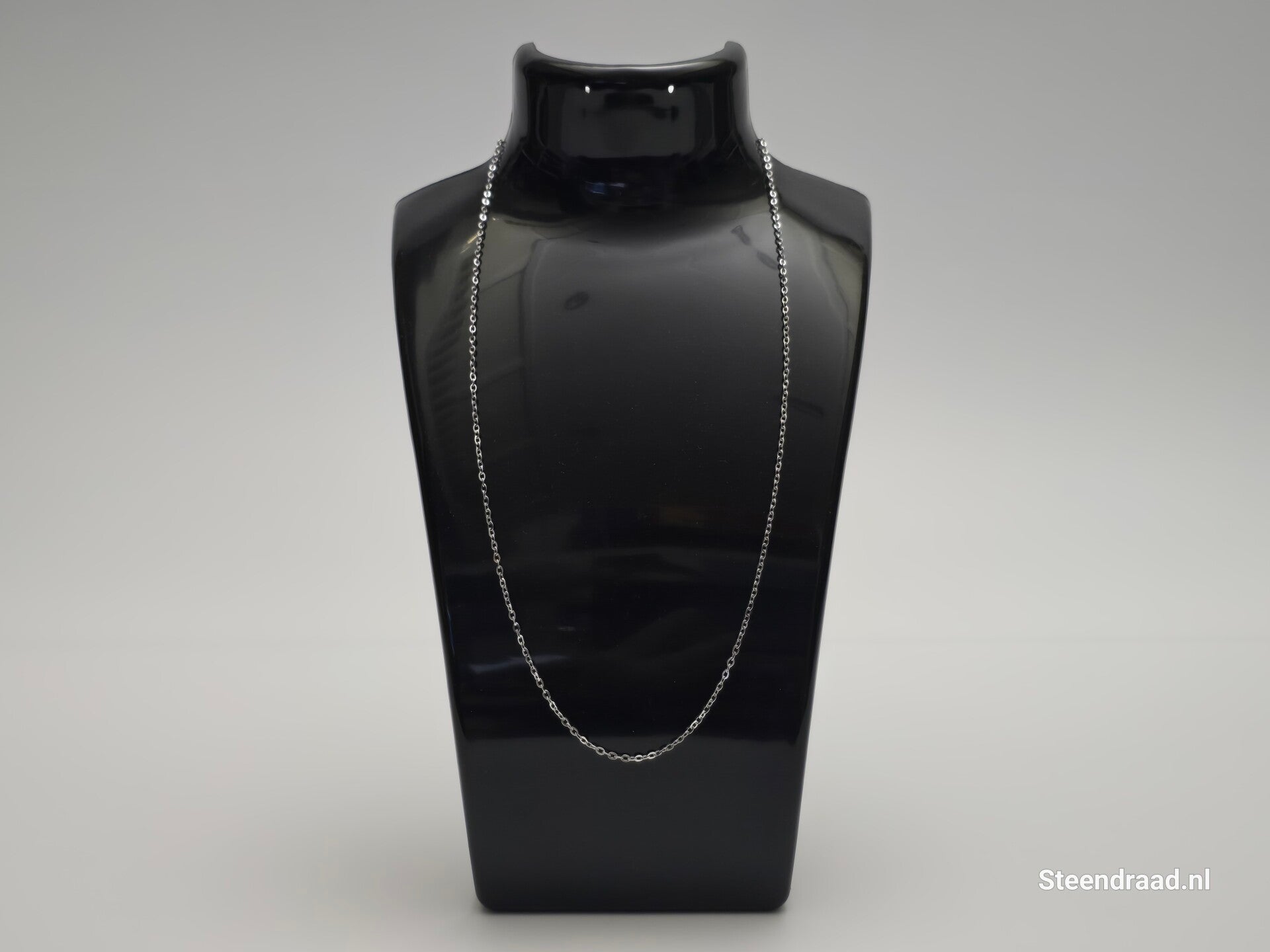 Dunne Ketting RVS Zilverkleurig - 45 cm