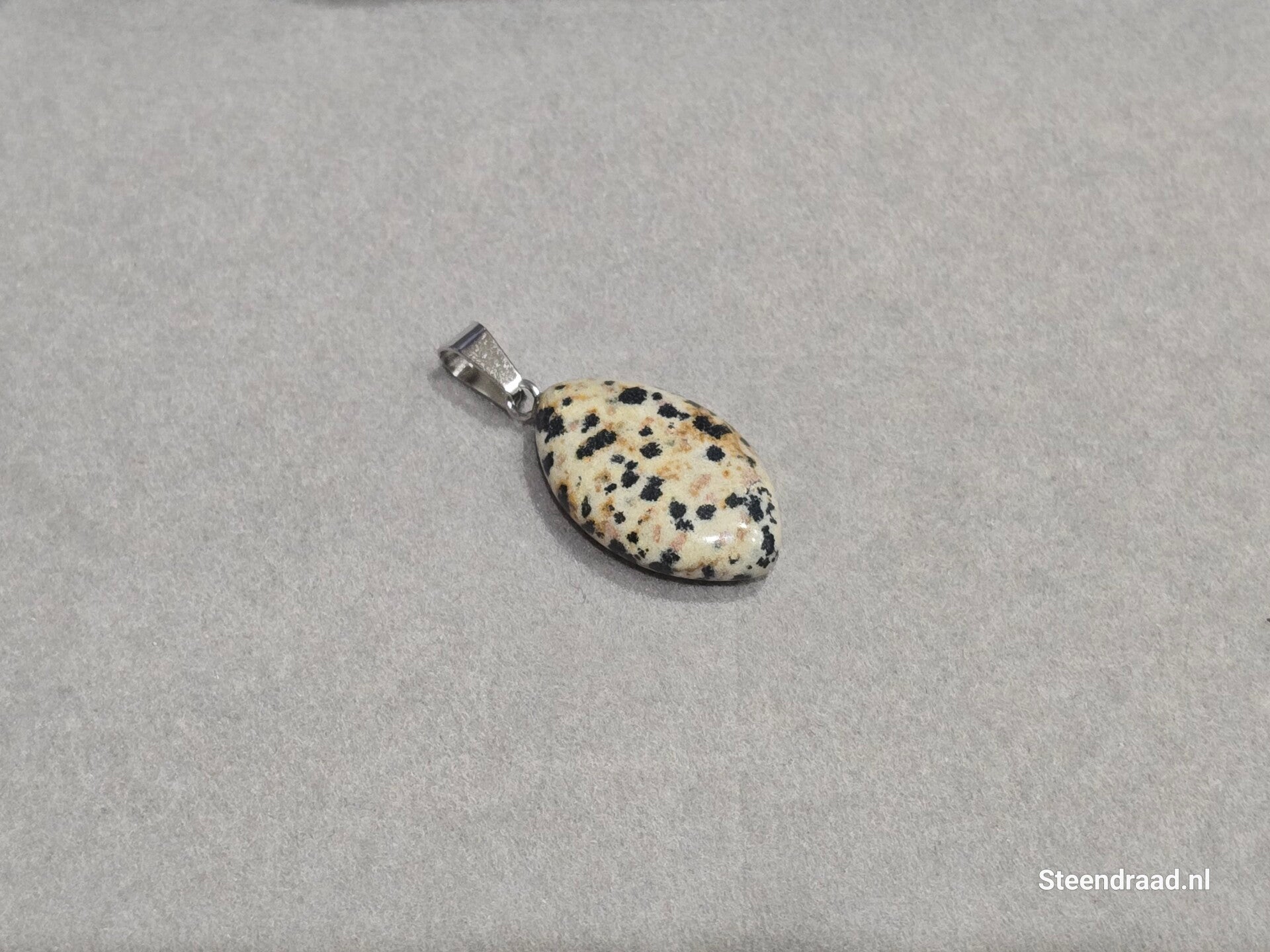 Natuurstenen Hanger Dalmatian Dream