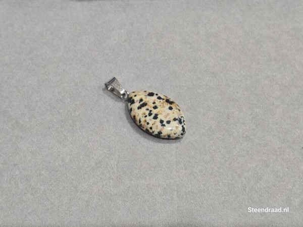 Natuurstenen Hanger Dalmatian Dream