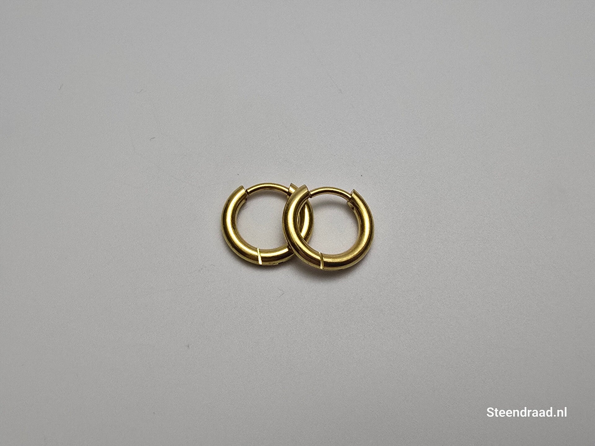 RVS Oorbellen - Goudkleurig 1.2 mm