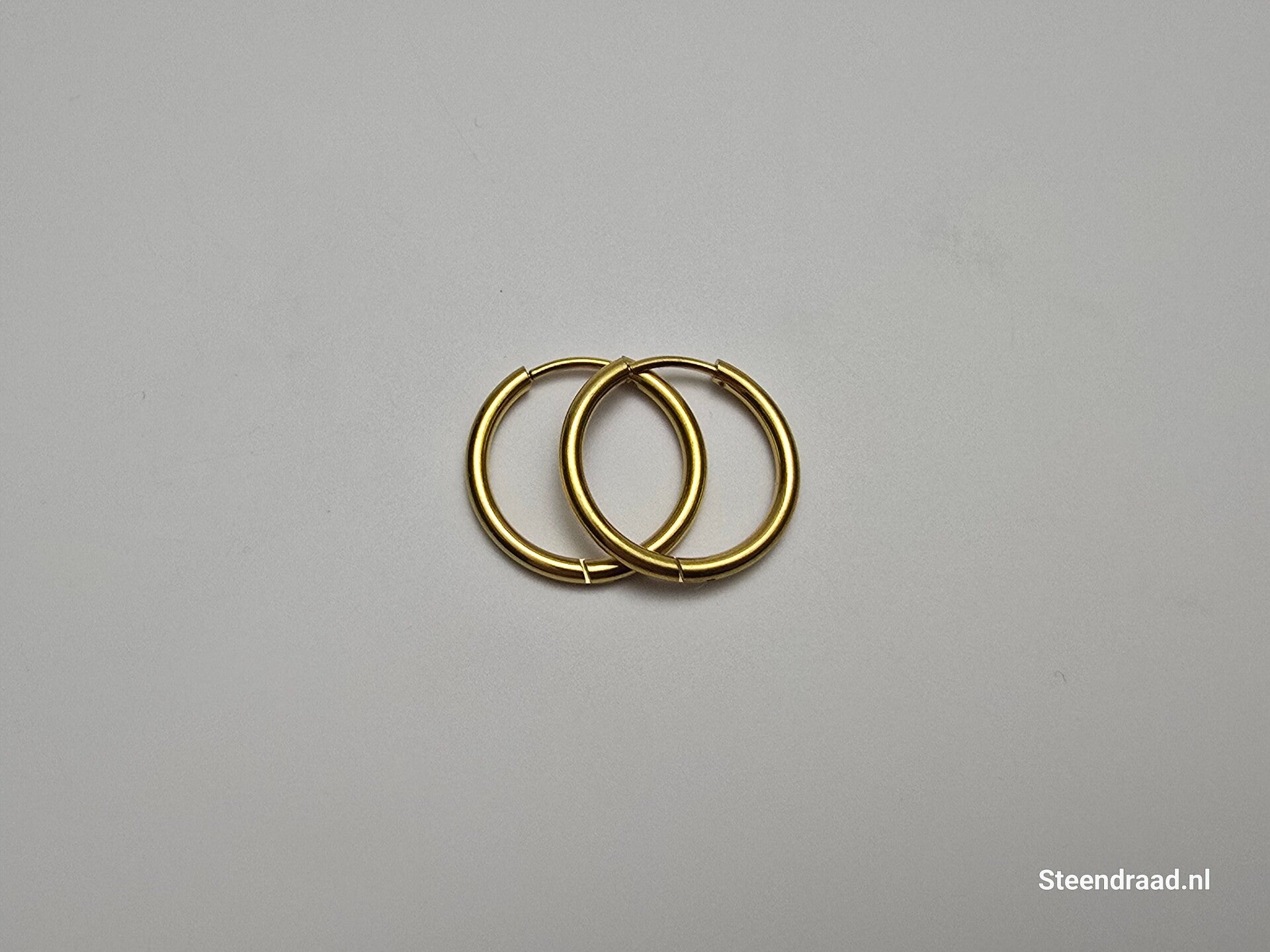 RVS Oorbellen - Goudkleurig 2.0 mm