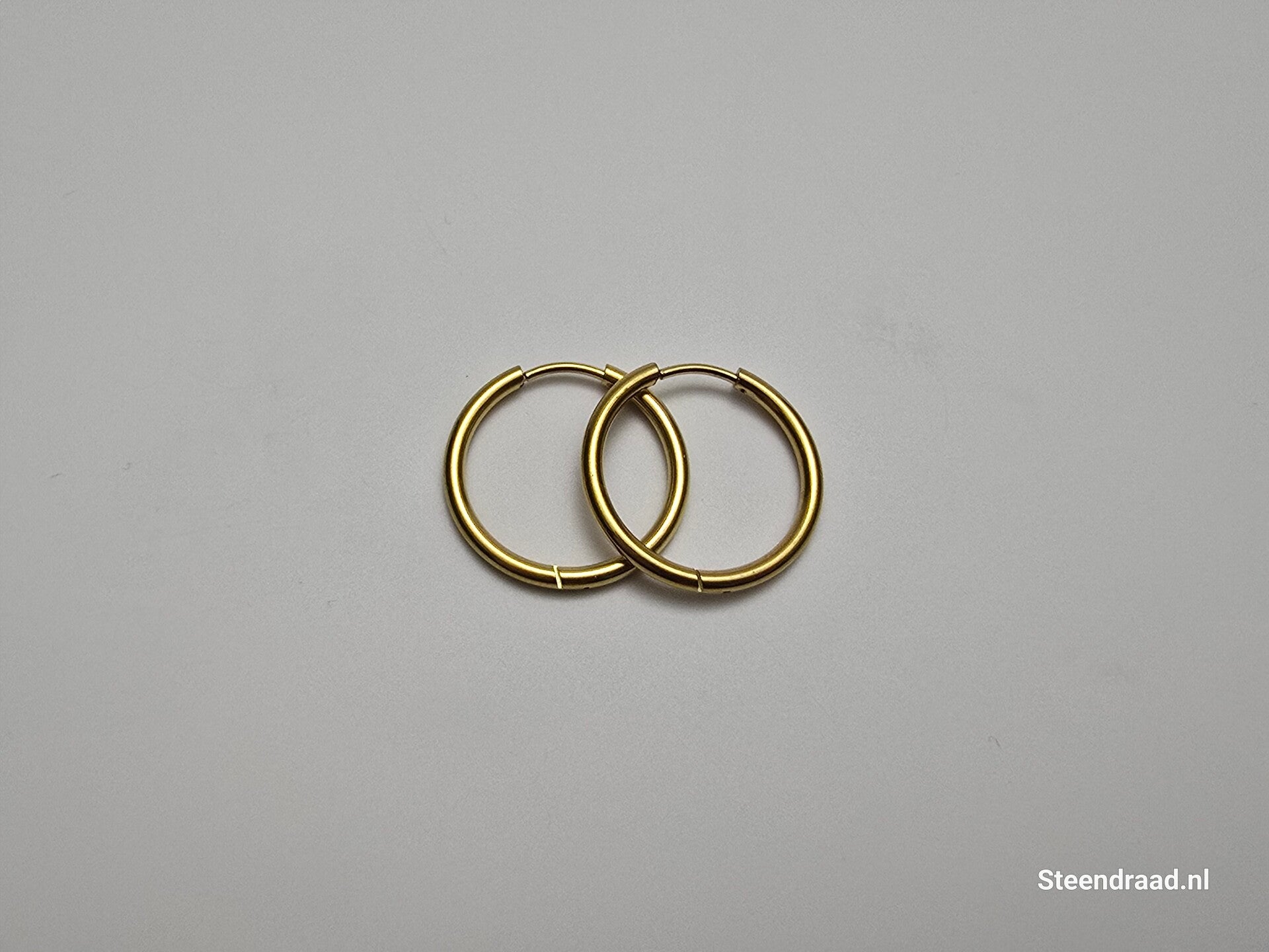 RVS Oorbellen - Goudkleurig 2.2 mm