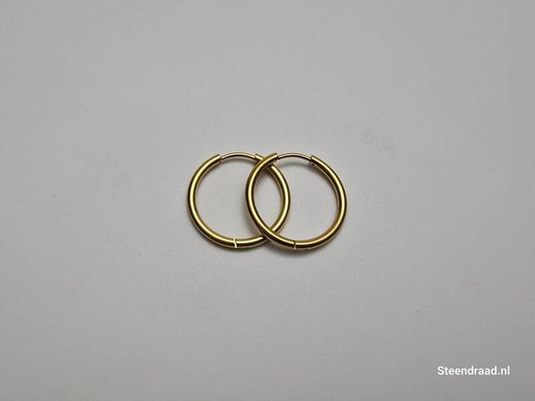 RVS Oorbellen - Goudkleurig 2.2 mm