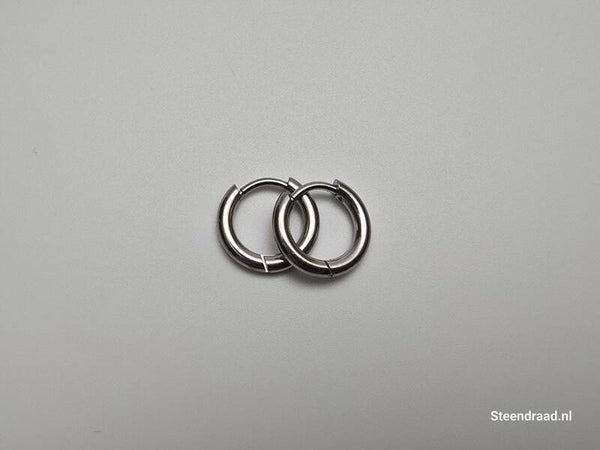 RVS Oorbellen – Zilverkleurig 1.2 mm