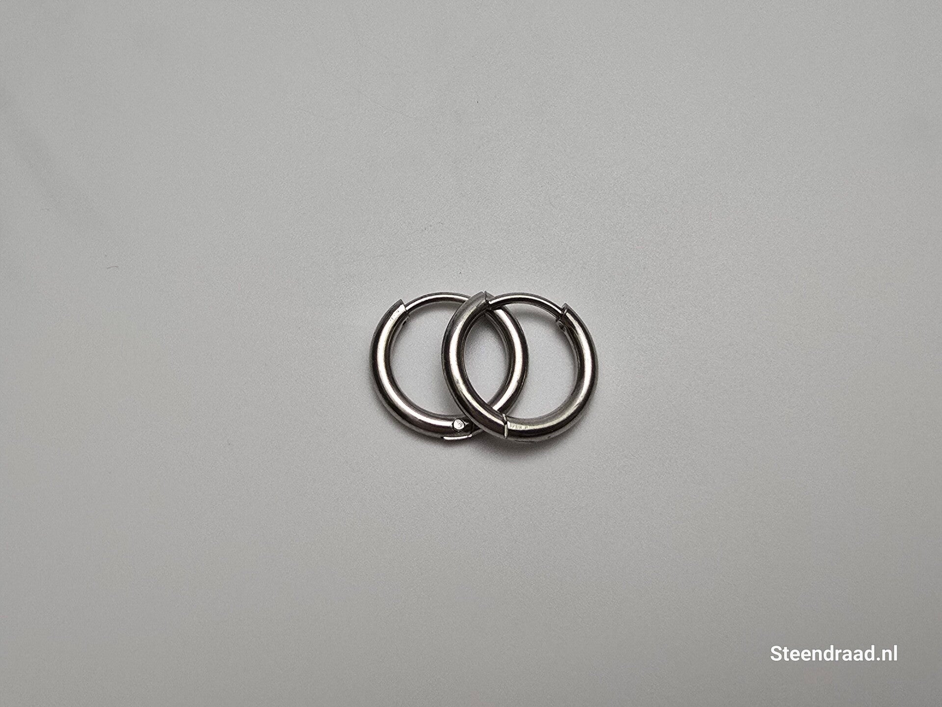 RVS Oorbellen – Zilverkleurig 1.4 mm