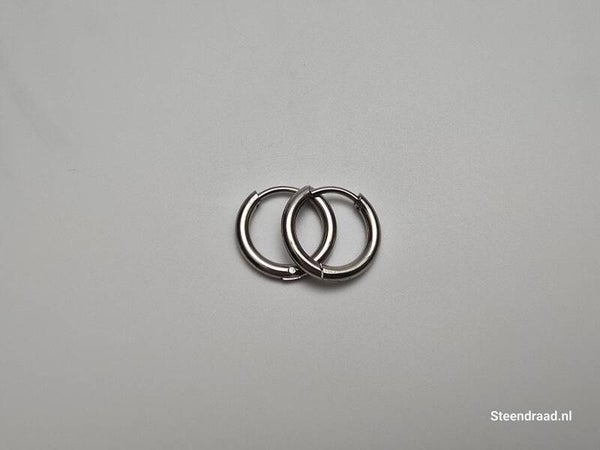 RVS Oorbellen – Zilverkleurig 1.4 mm