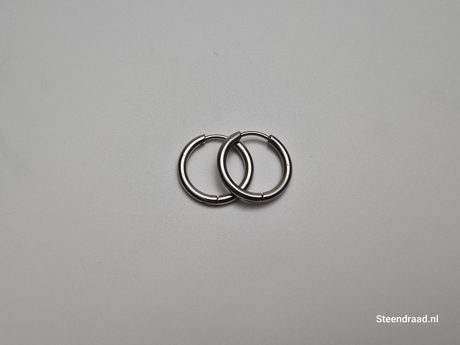RVS Oorbellen – Zilverkleurig 1.6 mm