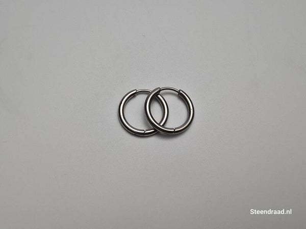 RVS Oorbellen – Zilverkleurig 1.6 mm