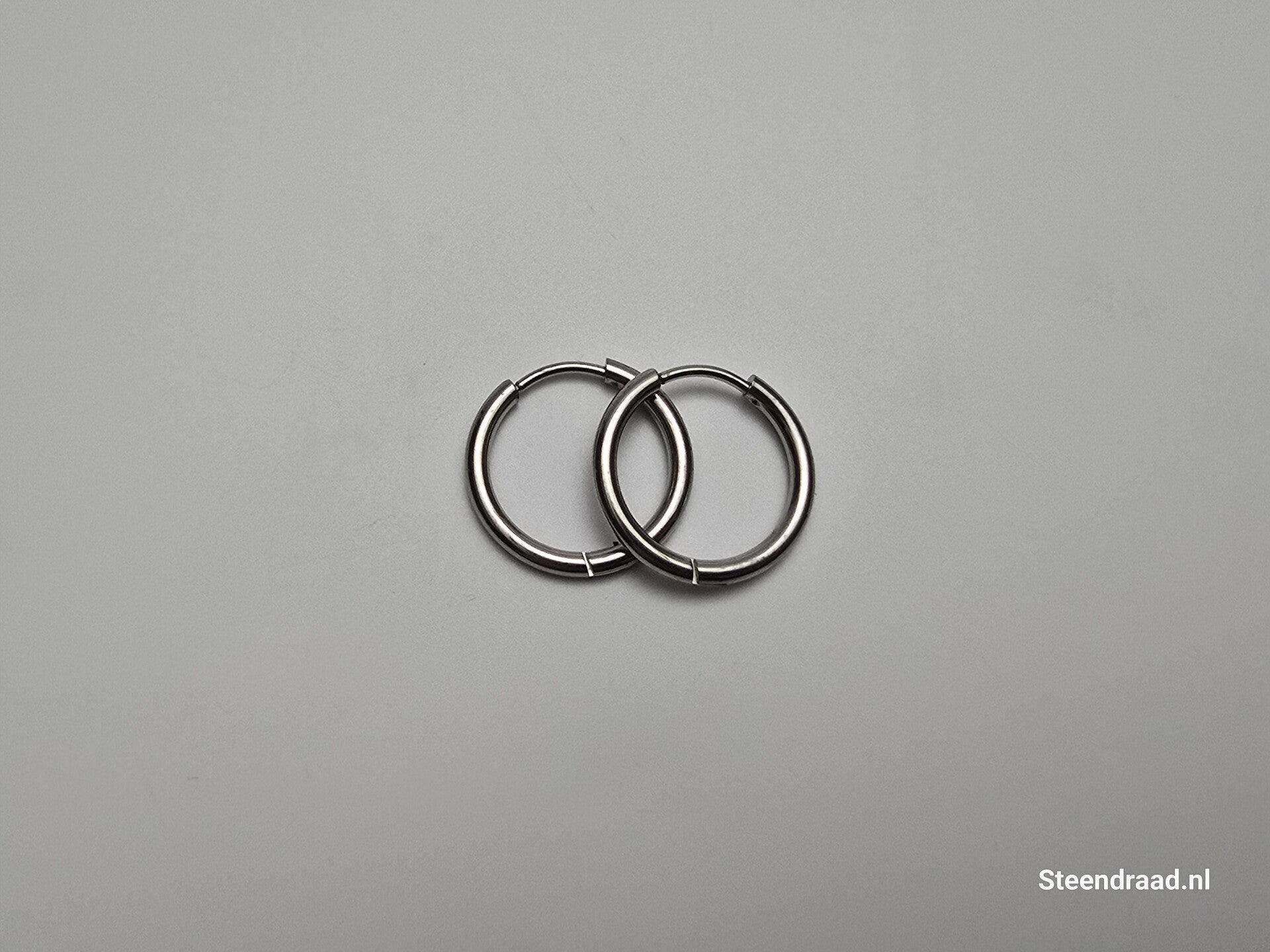 RVS Oorbellen – Zilverkleurig 1.8 mm