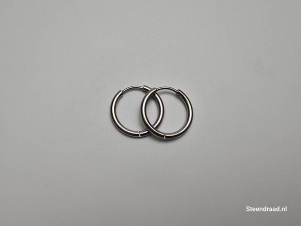RVS Oorbellen – Zilverkleurig 1.8 mm