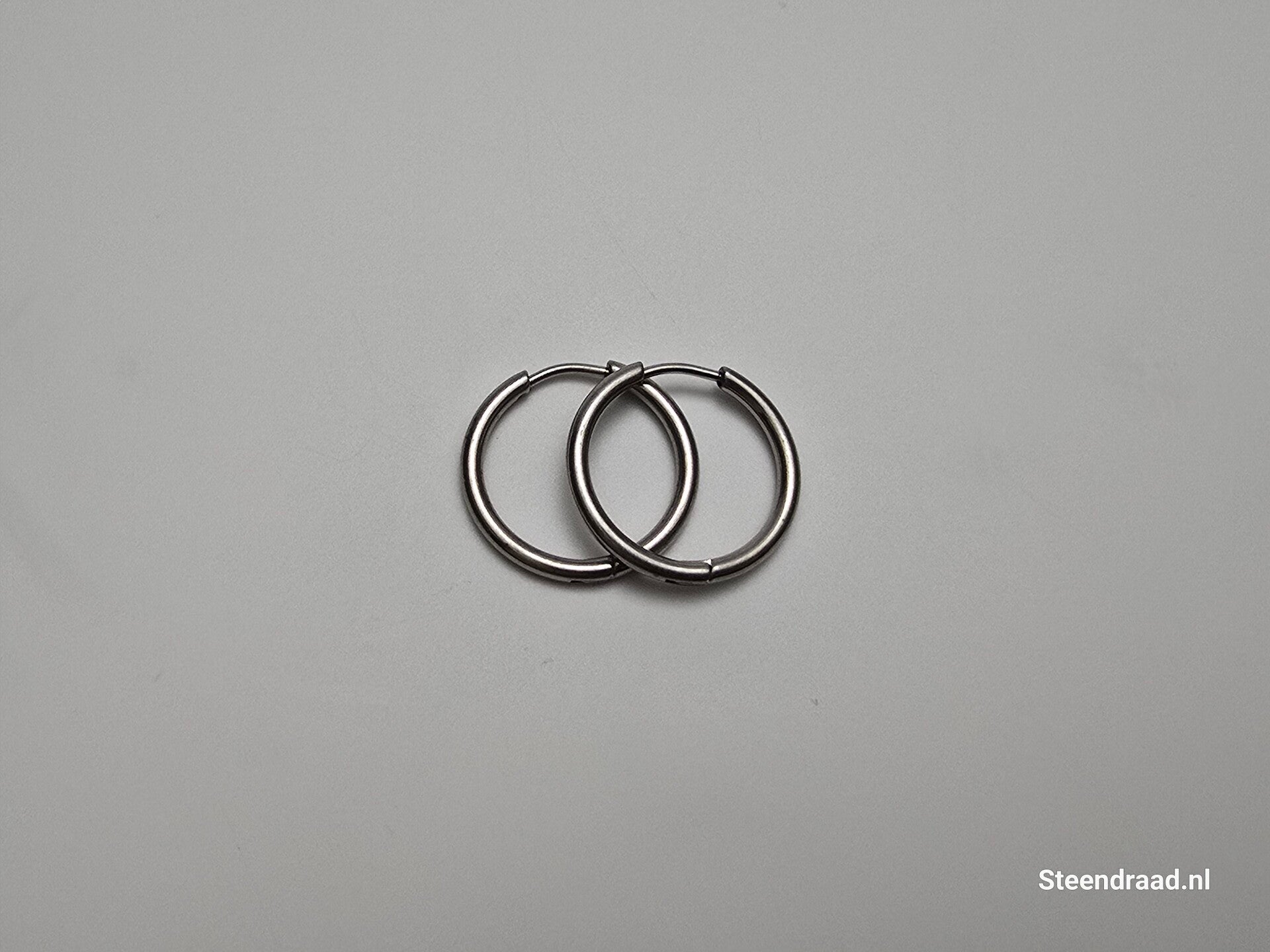 RVS Oorbellen – Zilverkleurig 2.0 mm