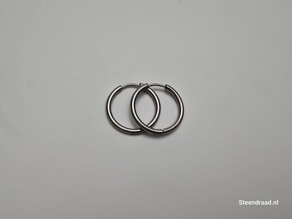 RVS Oorbellen – Zilverkleurig 2.0 mm