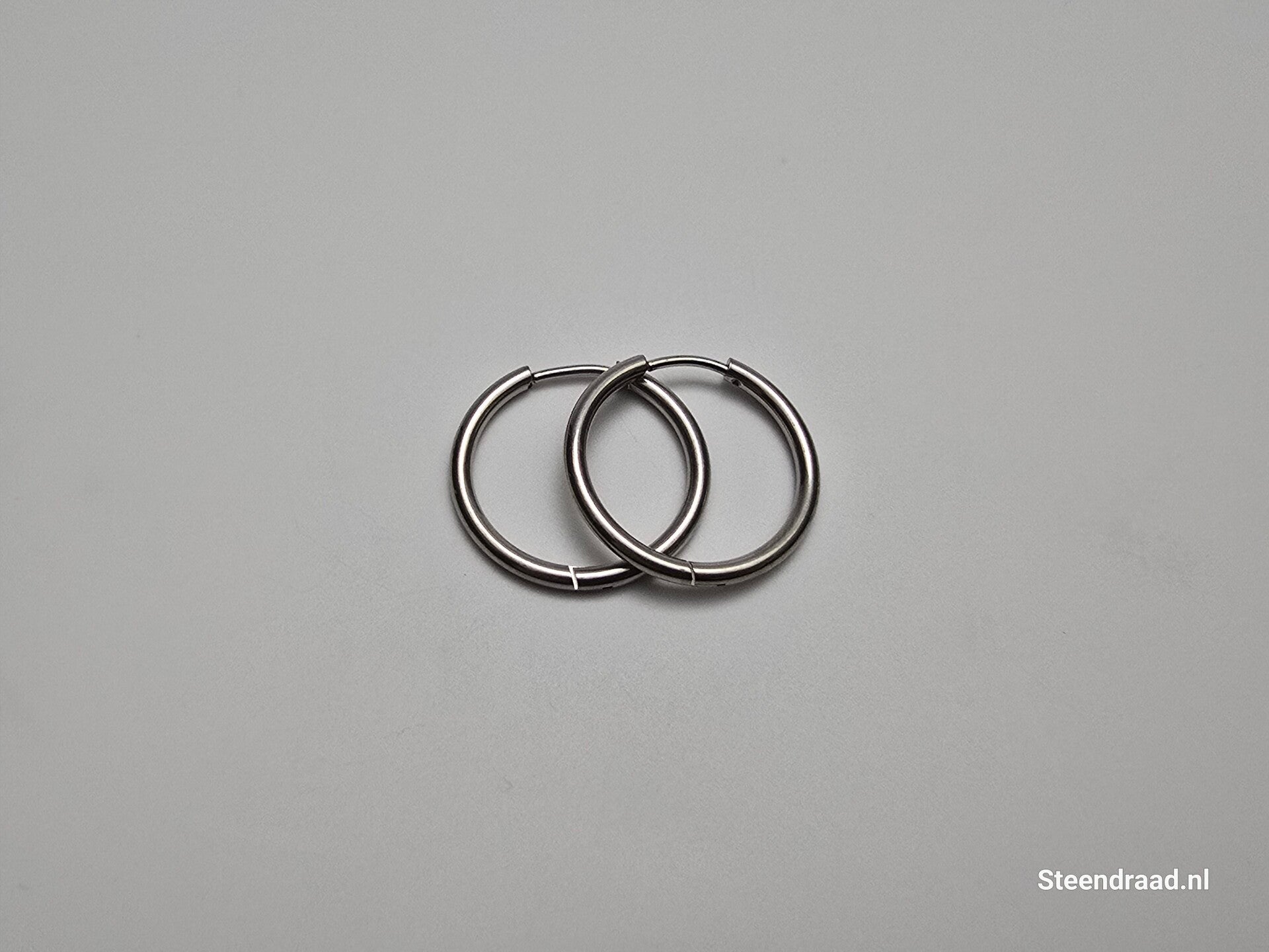 RVS Oorbellen – Zilverkleurig 2.2 mm