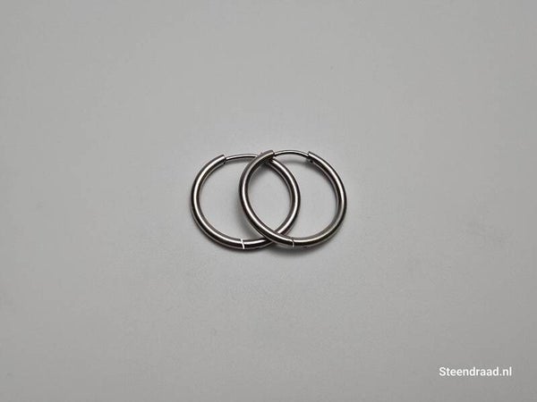 RVS Oorbellen – Zilverkleurig 2.2 mm