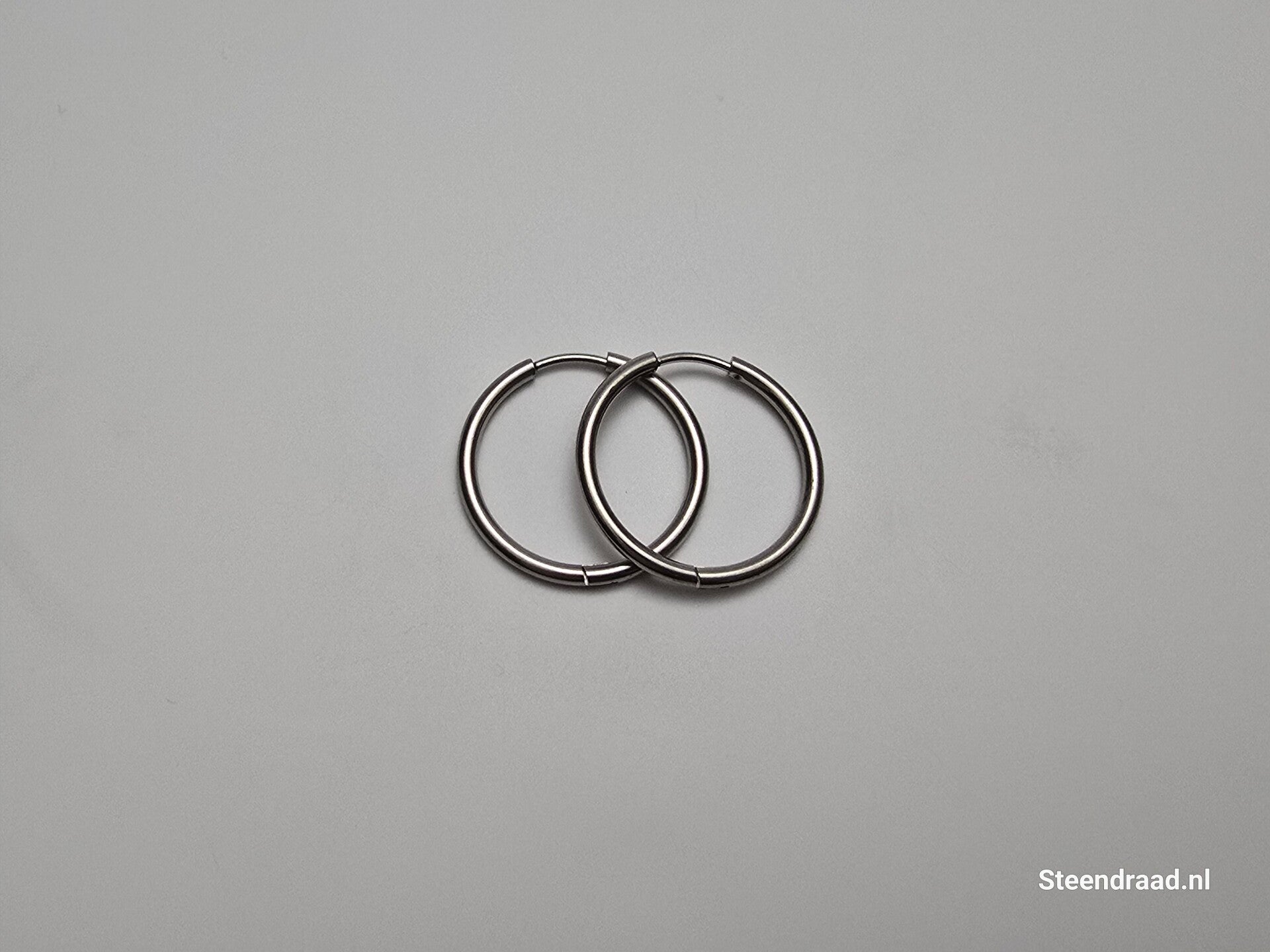RVS Oorbellen – Zilverkleurig 2.4 mm
