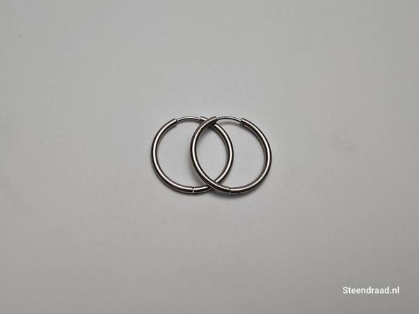 RVS Oorbellen – Zilverkleurig 2.4 mm