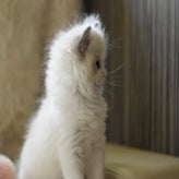 IMG_1623.jpg