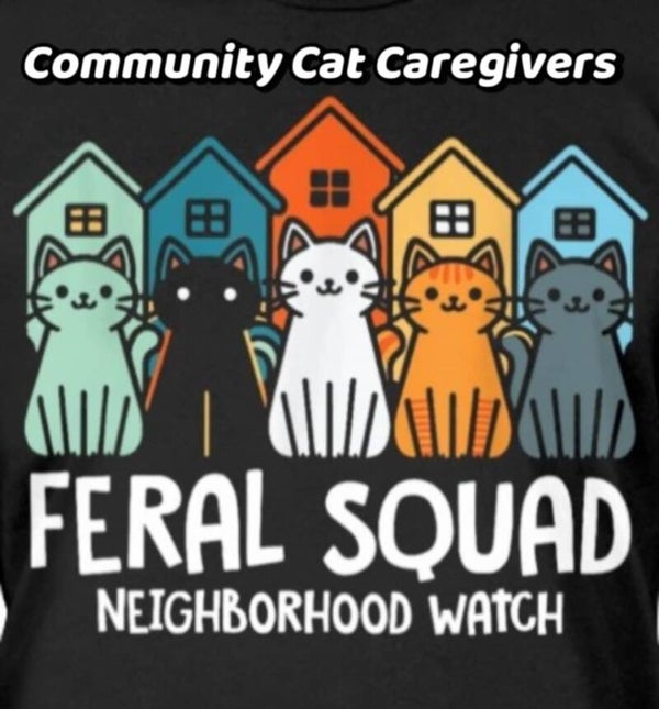 Tshirts
