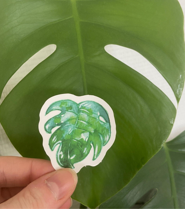 Sticker feuille monstera aquarelle