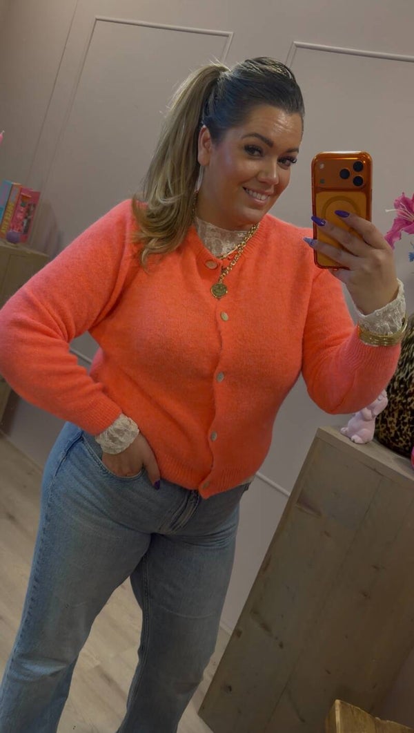 Alpaca Wool Gebreid Vest Koraal