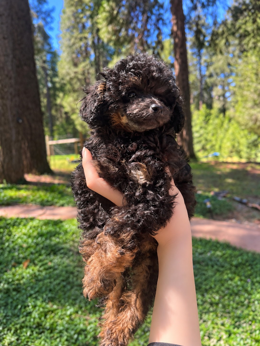 ZUKO