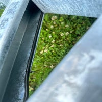 img_4521-standard-kerl0t.jpg