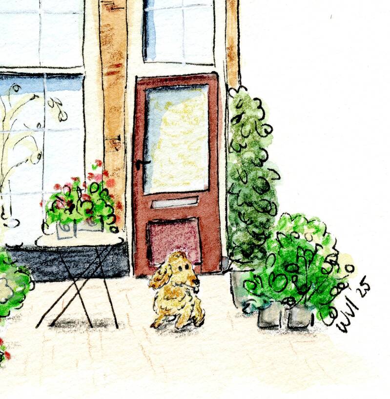 huis - thuis - voordeur- huisdier- hond-authentiek