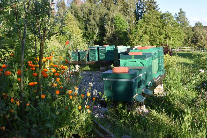 Bienenstöcke im Blumengarten