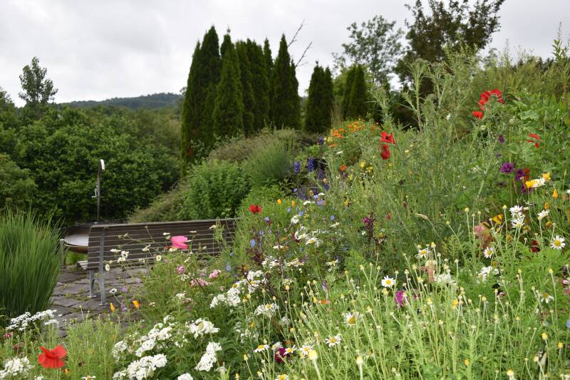 Farbige Blumenwiese mit Sitzbank und Grillstelle im Hintergrund