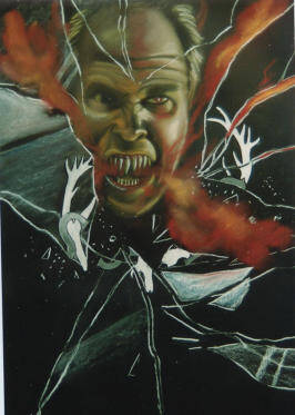 Afbeelding cover verzamel-cd The Stag - Mister Hide | Rein Menke Auteur