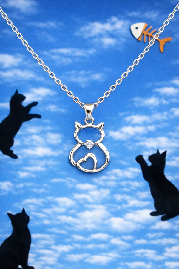 Chat brillant