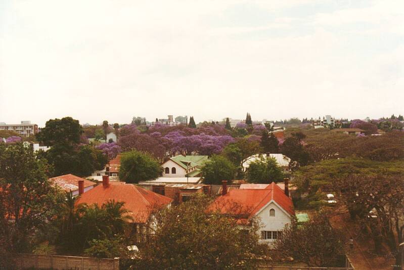 004harare.jpg