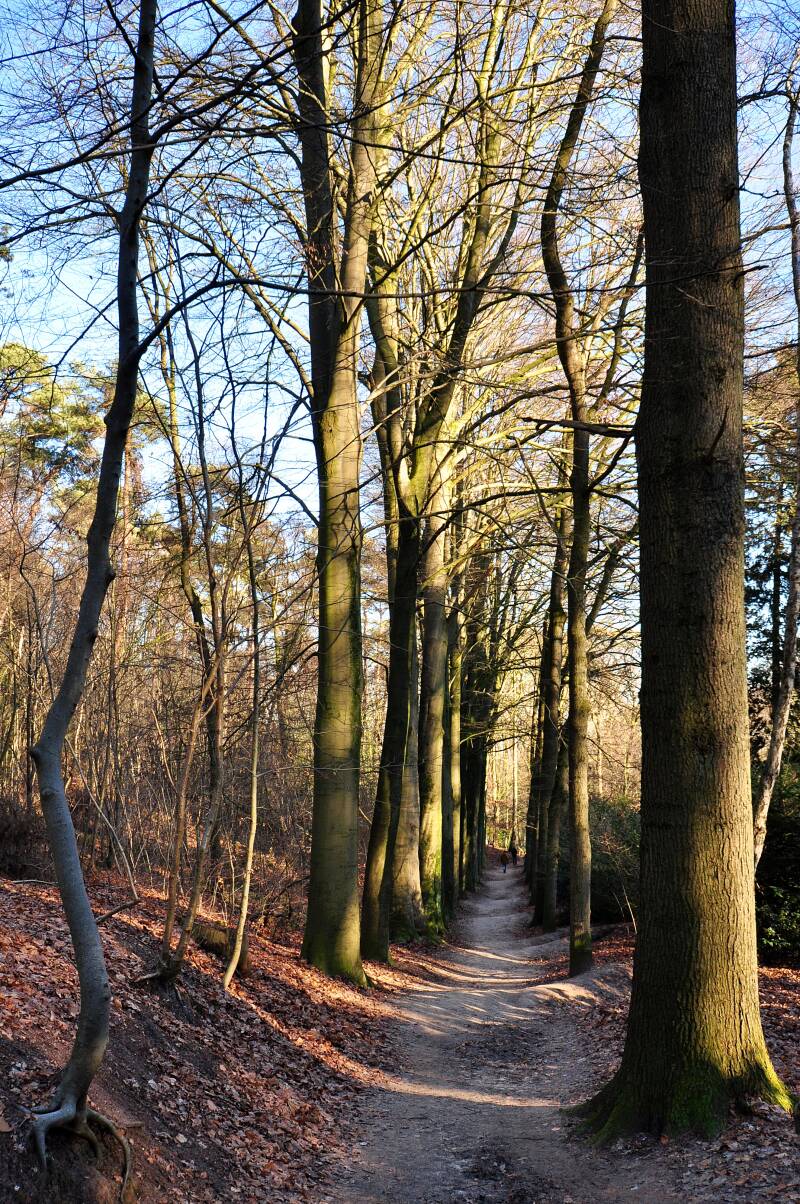 0169wandelrouten70jpg.jpg