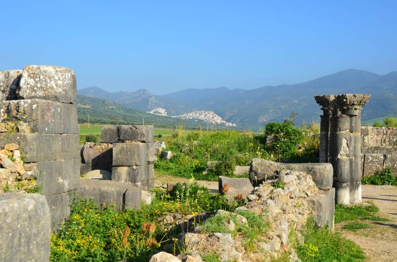 0260volubilismetopachtergrondmoulayidrissjpg-1.jpg