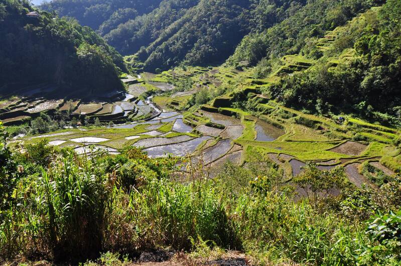 0367banaue-batadjpg.jpg