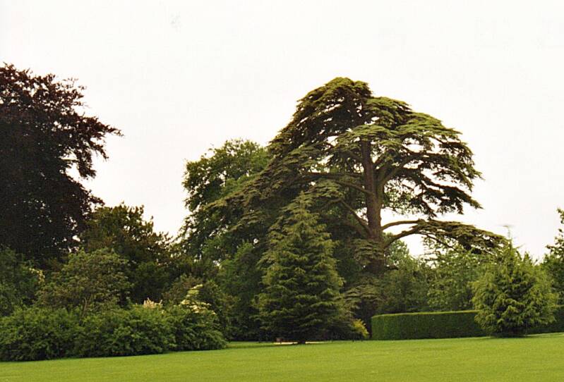 042blenheimpalace.jpg